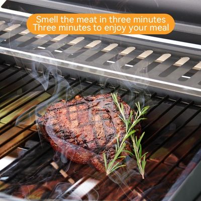 Outdoor Stainless Steel Gas BBQ Grill Smoker Barbecue Smoke Stove with Large Capacity