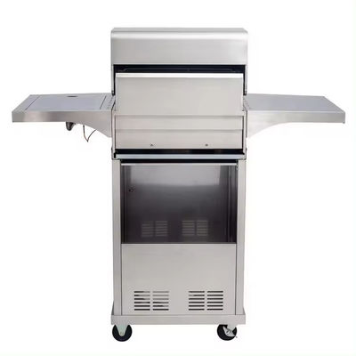 Black Large Capacity Stainless Steel Grills Trolly Barbecue with Gas Side Burner